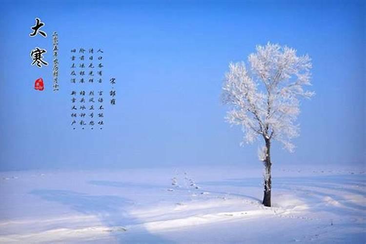 羊和蛇的属相合不合