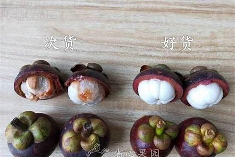 怎样为堕胎婴灵超度