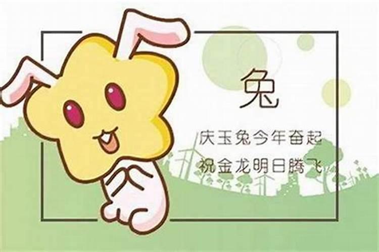 清明扫墓最忌三种花