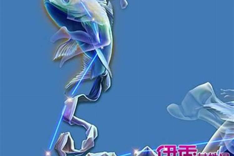 1989年的属蛇双鱼女和1986年的属虎射手座,适合结婚吗？八字合吗？