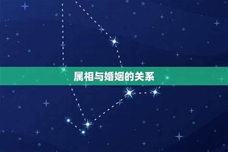 83年11月6日出生的人一生财运如何