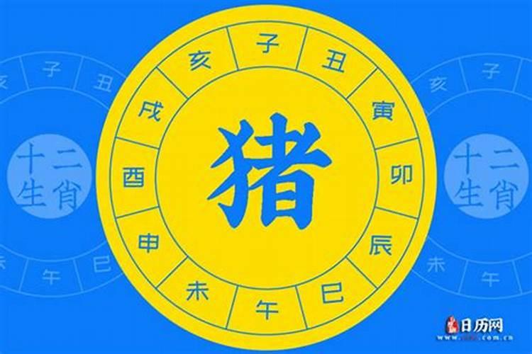 2019年十二月把土豆种下几月份可以挖？