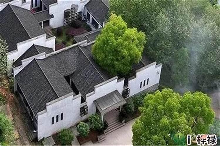 2025属猴犯太岁佩戴什么