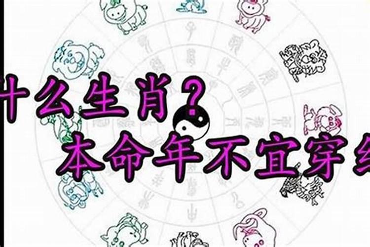 从民俗的本命禁忌,看宋徽宗禁止百姓吃狗肉遭到反对的社会背景