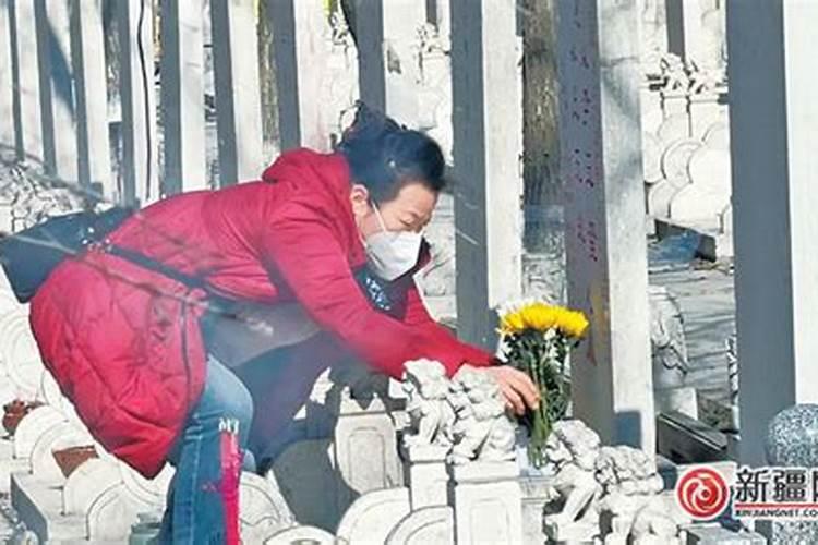 泡太岁的水能喝吗,太岁泡水什么人不能喝