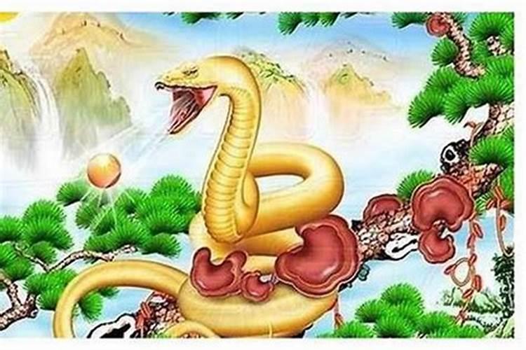 属兔刑太岁2023化解,属兔在鼠年刑太岁怎么解决