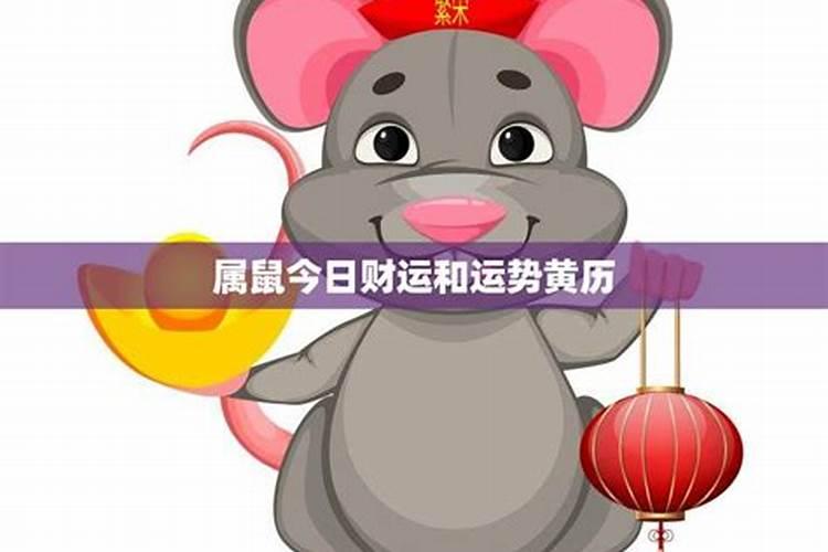 属鼠今日运势方位,生肖属鼠今日运势查询