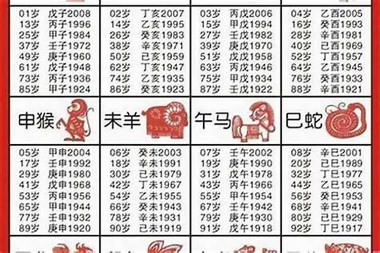 生肖运势暴取豪夺解读