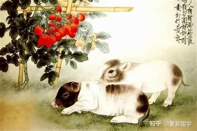 生肖看运势是真的吗。
