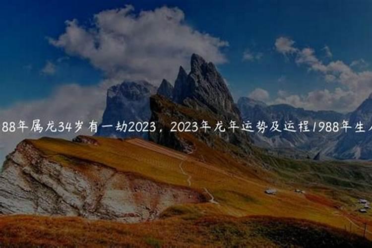 1988年属龙人2024年运势运程每月运程