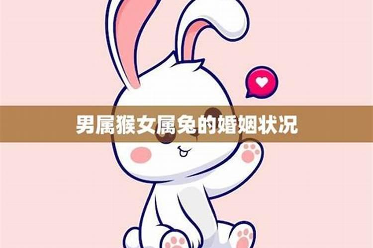 火兔男,金猴女配不配？