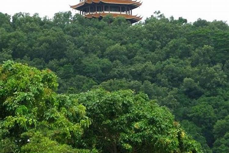 深圳福永凤凰山怎么去(地址+交通指南+停车场)