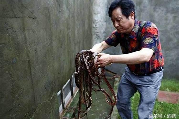 梦见有人被害死了代表什么