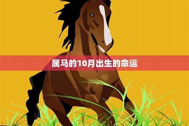 2025年犯太岁的生肖 2025年哪些生肖犯太岁