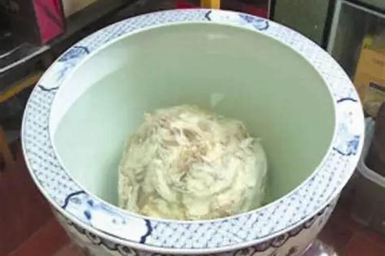 太岁究竟是个什么东西？真的是灵丹妙药吗？