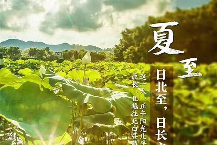 冲太岁、刑太岁、害太岁、破太岁、怎么回事？