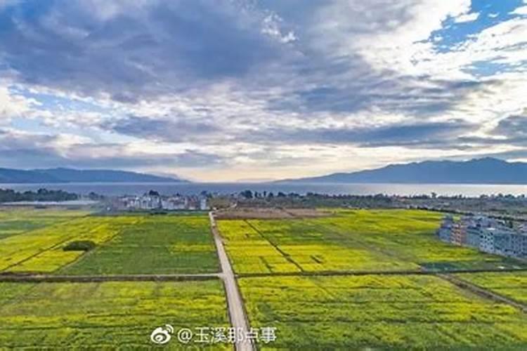 2025年立夏是几月几日
