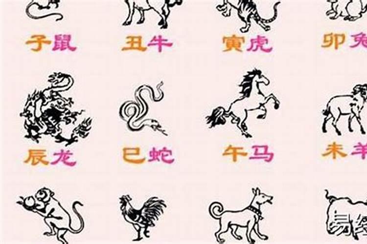 属相婚配和五行婚配怎么不一样啊