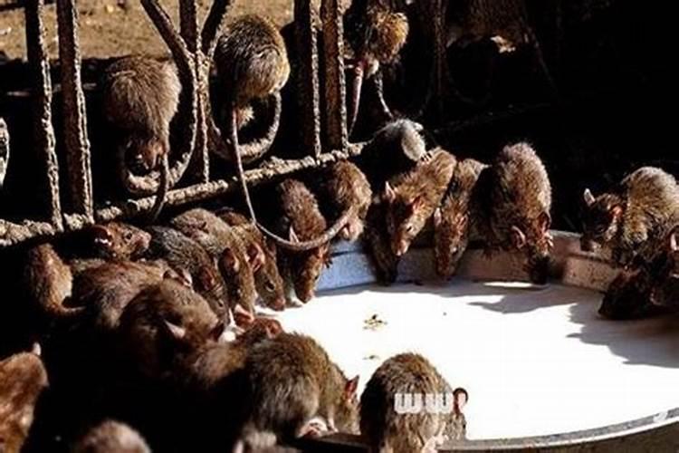 运气不好怎么转运方法 寺庙参拜多做善事