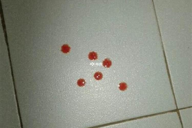 腊月是12月还是一月