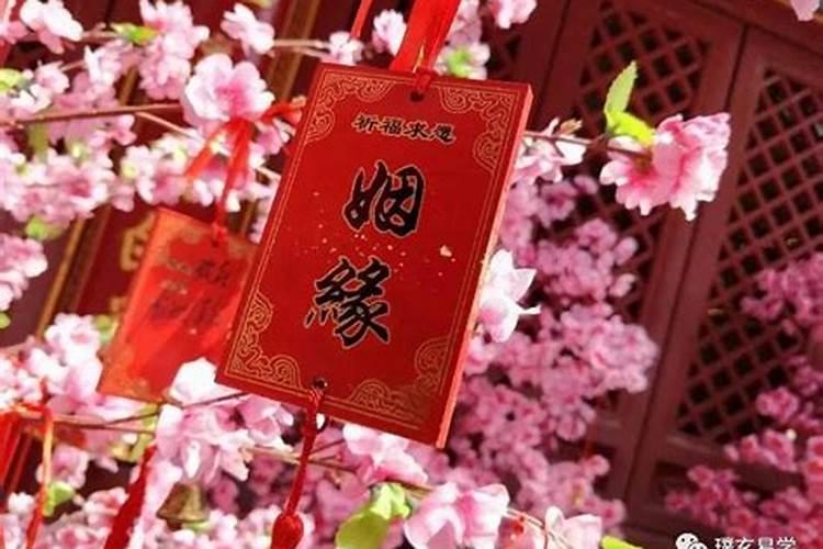 怎么看金木水火土命