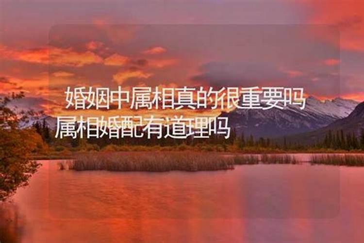 两个人八字不合结婚后会怎样