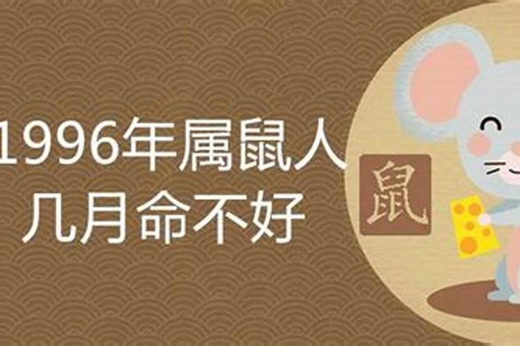 1996年属鼠每月运程解析 要注重自己的身体情况？