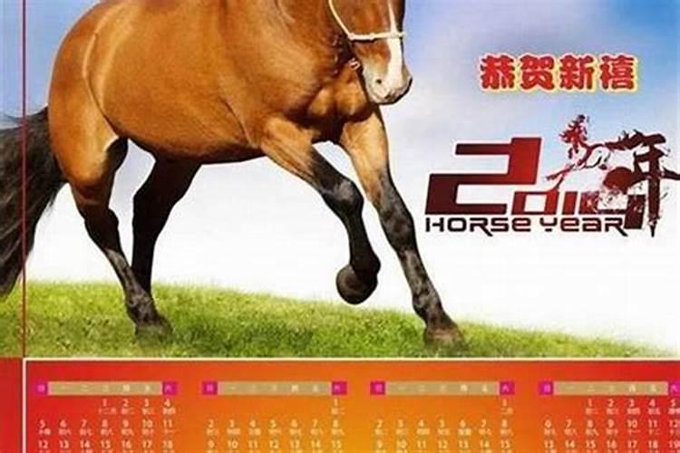 属马的九月初九好不好？