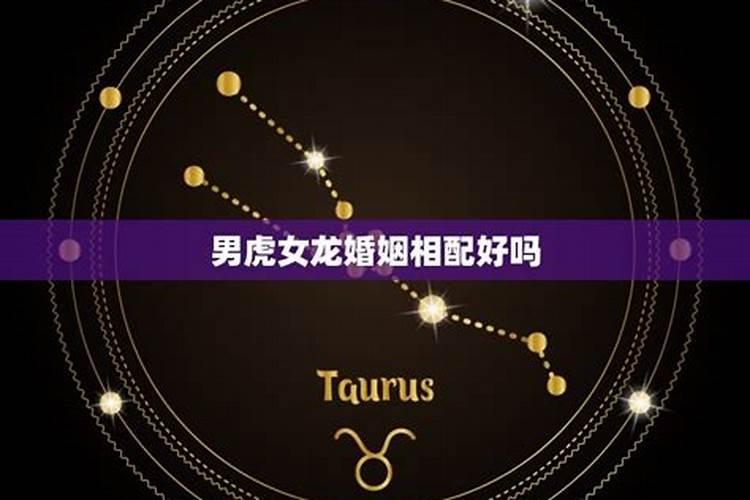 男的属虎女的属龙好不好