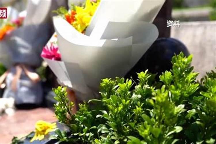 婴灵,不知道大家相信吗