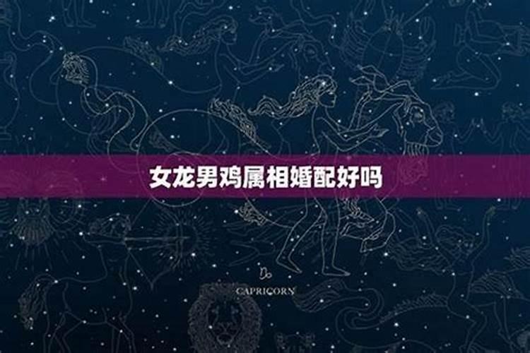 揭秘孔令辉不娶马苏真相 孔令辉结婚了吗