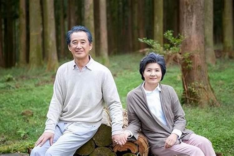 老是梦见猫是什么意思