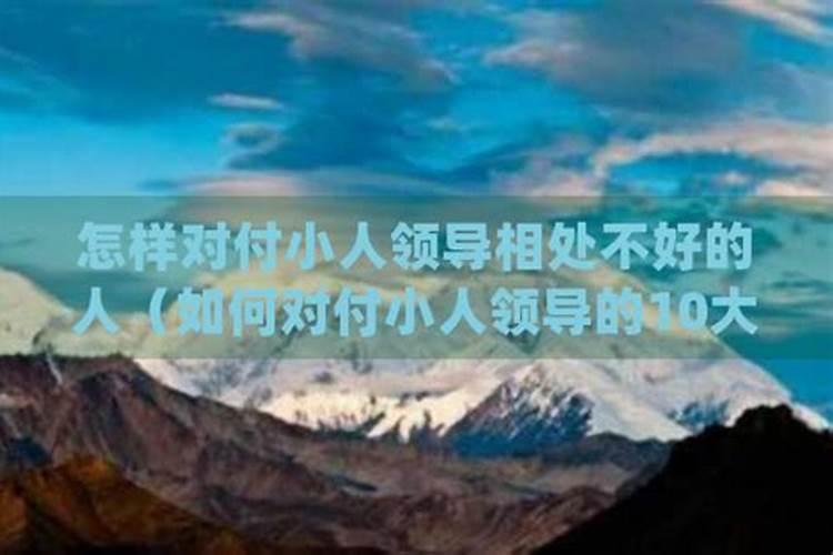 属猪男的和属虎女的相配吗 猪跟虎的属相合不合婚姻怎么样