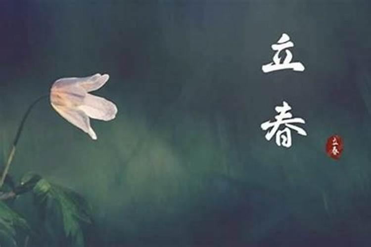 属蛇犯太岁怎么化解