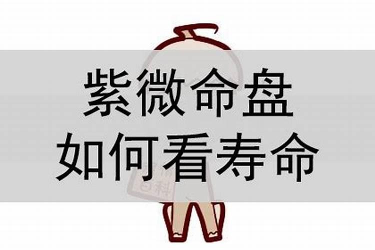 神巴巴算命网免费