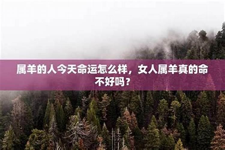 1997属牛2025年运势运程如何