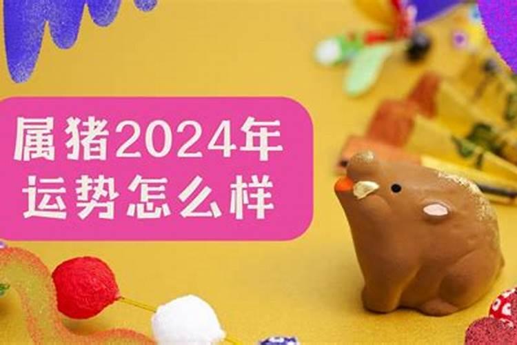 属猪的今年运势如何