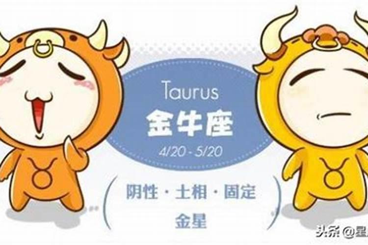 金牛男真喜欢一个人的表现