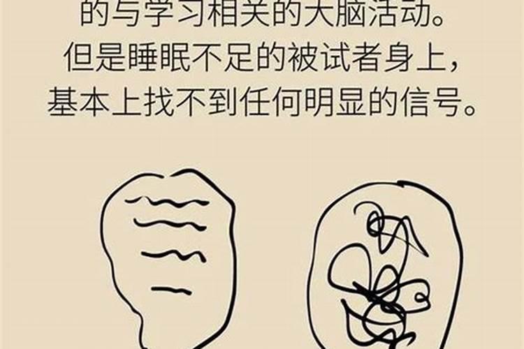 老公属猪,我属龙,想生个蛇宝宝 好吗？  百度宝宝知道