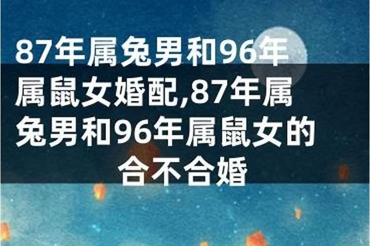 1987男兔1996女鼠合适吗,女87年兔男96年鼠,婚姻按算的说属相