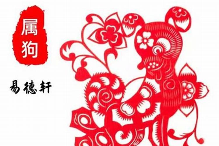 2025属狗人运势及运程详解