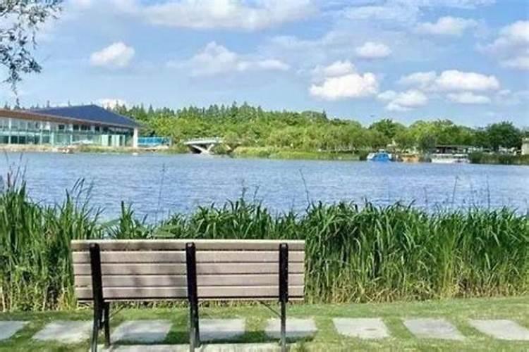 上海冬至吃什么？