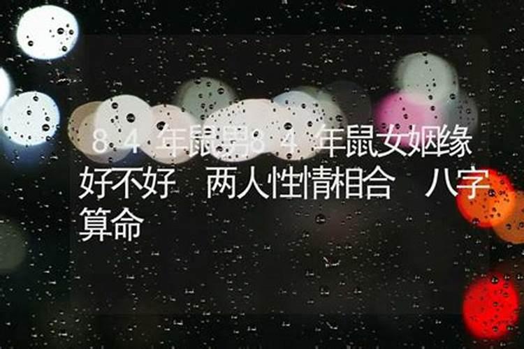 1984年属鼠的今年婚姻结果 最佳婚配生肖是谁？
