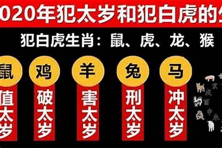 石家庄踏青赏花好去处