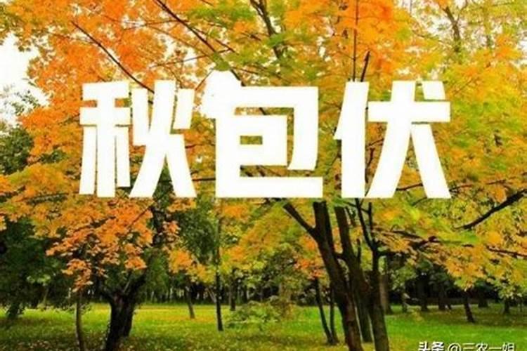 69年鸡哪个月出生的好
