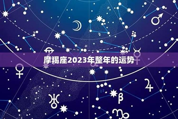 属猪和什么属相最合财