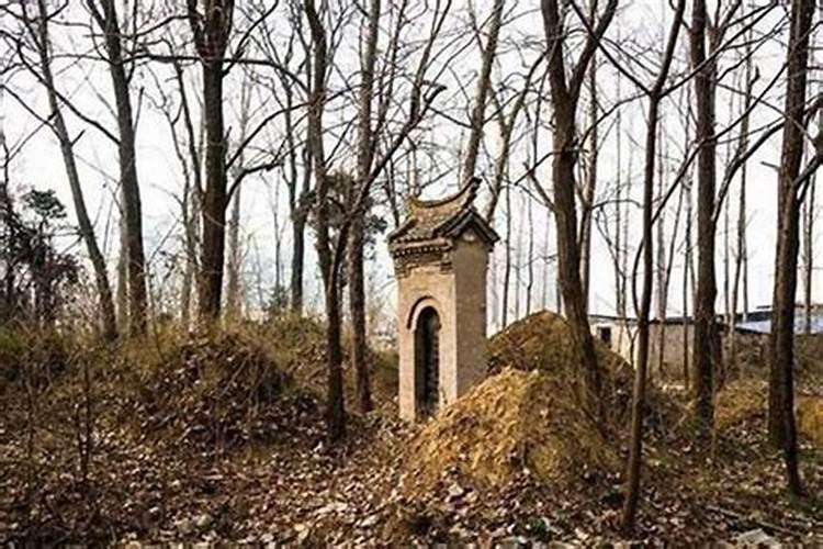 祖坟风水不好有哪些征兆