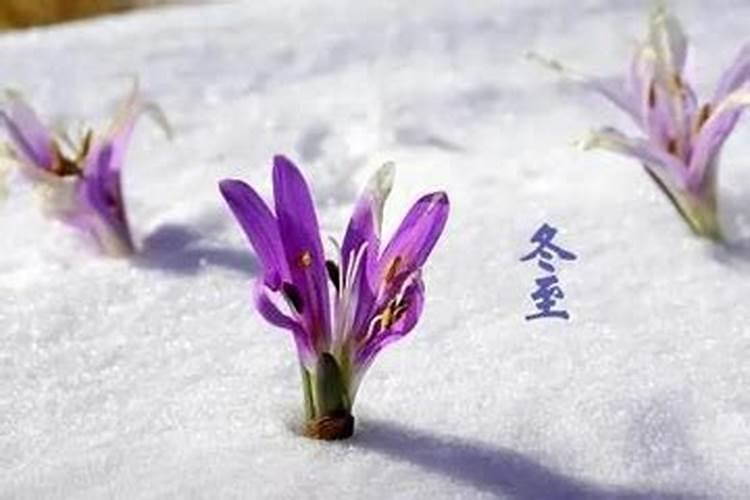 冬至最忌讳的三件事