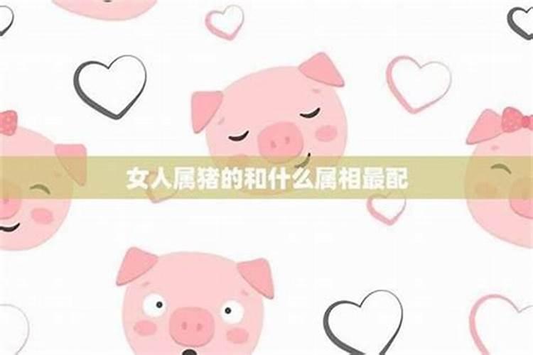 男女都是属猪结婚好吗 男女都属猪适合结婚吗