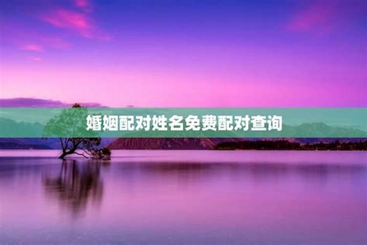姓名配对测试两人关系